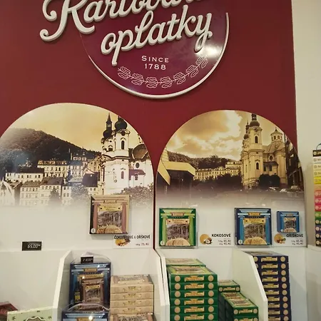 Loket- Like At - Park, Castle, Amphitheater, Karlovy Vary Apartamento