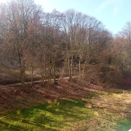 Loket- Like At - Park, Castle, Amphitheater, Karlovy Vary Apartmán